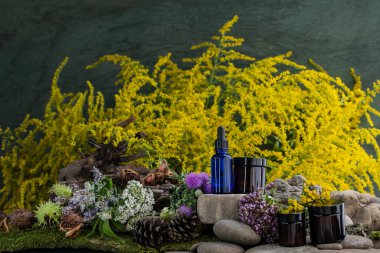 Kozmetik malzemeleri. Şifalı bitkilerden oluşan çiçek bileşimi. Taşlar, yosunlar, kır çiçekleri. kozmetik malzemeler.