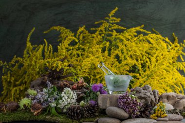 Kozmetik malzemeleri. Şifalı bitkilerden oluşan çiçek bileşimi. Taşlar, yosunlar, kır çiçekleri. kozmetik malzemeler.