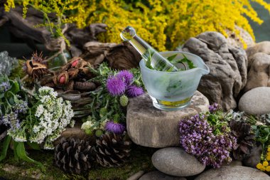 Kozmetik malzemeleri. Şifalı bitkilerden oluşan çiçek bileşimi. Taşlar, yosunlar, kır çiçekleri. kozmetik malzemeler.