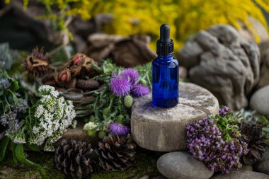 Kozmetik malzemeleri. Şifalı bitkilerden oluşan çiçek bileşimi. Taşlar, yosunlar, kır çiçekleri. kozmetik malzemeler.