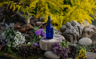 Kozmetik malzemeleri. Şifalı bitkilerden oluşan çiçek bileşimi. Taşlar, yosunlar, kır çiçekleri. kozmetik malzemeler.