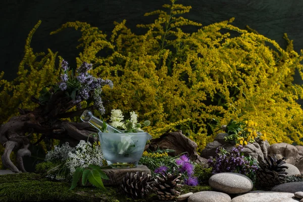Kozmetik malzemeleri. Şifalı bitkilerden oluşan çiçek bileşimi. Taşlar, yosunlar, kır çiçekleri. kozmetik malzemeler.