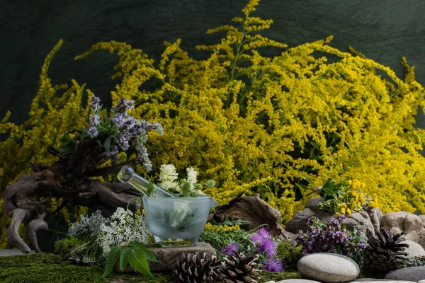Kozmetik malzemeleri. Şifalı bitkilerden oluşan çiçek bileşimi. Taşlar, yosunlar, kır çiçekleri. kozmetik malzemeler.
