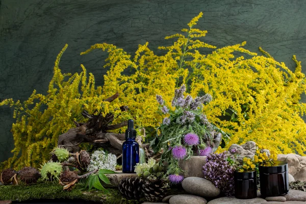 Kozmetik malzemeleri. Şifalı bitkilerden oluşan çiçek bileşimi. Taşlar, yosunlar, kır çiçekleri. kozmetik malzemeler.