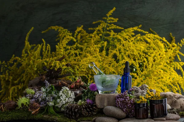 Kozmetik malzemeleri. Şifalı bitkilerden oluşan çiçek bileşimi. Taşlar, yosunlar, kır çiçekleri. kozmetik malzemeler.