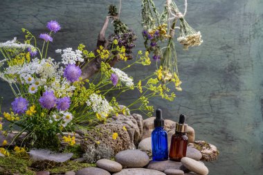 Ekolojik buket, mavi pipet şişesi, kahverengi pipet şişesi, farmakolojik havan, yabani çiçekler, buket, kuş tüyü, nehir taşları, durgun hayat.