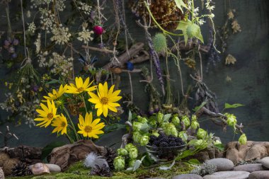 Kozmetik malzemeleri. Şifalı bitkilerden oluşan çiçek bileşimi. Taşlar, yosunlar, kır çiçekleri. kozmetik malzemeler.