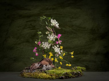 Kozmetik malzemeleri. Şifalı bitkilerden oluşan çiçek bileşimi. Taşlar, yosunlar, kır çiçekleri. kozmetik malzemeler.