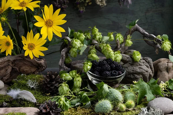 Kosmetische Inhaltsstoffe Florale Zusammensetzung Von Heilkräutern Steine Moos Wildblumen Kosmetische — Stockfoto