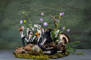 Durgun hayat. Çayır çiçekleri. Dalgalanan odun, yosun, tawa, liken. Makro.