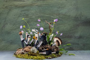 Durgun hayat. Çayır çiçekleri. Dalgalanan odun, yosun, tawa, liken. Makro.