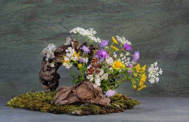 İkebana. Buket, çiçek aranjmanı. Kelebek ve çiçekler. Phyto tasarımı.