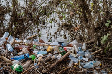 .Çevreyi koru. Doğa tehlikede. Ekoloji. Ekolojik kirlilik.