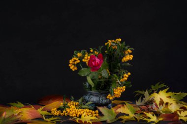 Sonbahar çiçekleri. Çiçekçilik. Sonbahar çiçekleri, böğürtlenler, yaprakların bileşimi.