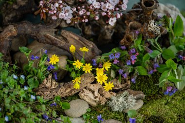 Çiçek kompozisyonu. Yabani çiçekler. Bahar çiçekleri. Çiçek açan bitkiler.