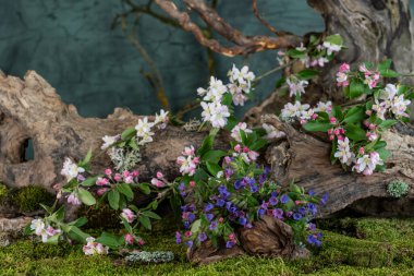 Sanat kurulumu. İkebana. İlaç bitkileri. Elma ağacı dalı. Ciğerotu buketi. Pulmonaria officinalis. Malus.