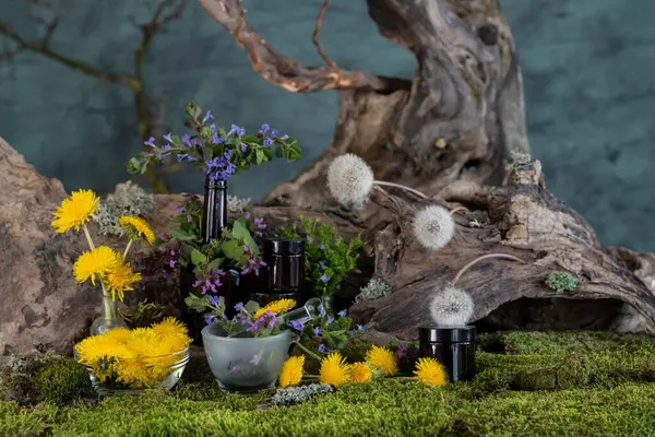 Sanat kurulumu. İkebana. Şifalı bitkiler. Pulmonaria karahindiba