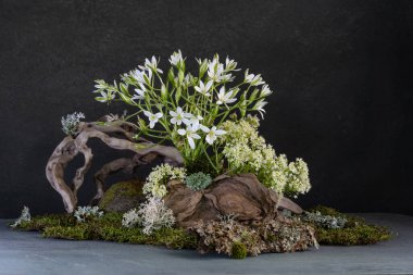 İlkbahar kır çiçeklerinin ağaç kütüğündeki doğal bir kompozisyon.