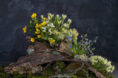 İlkbahar kır çiçeklerinin ağaç kütüğündeki doğal bir kompozisyon.