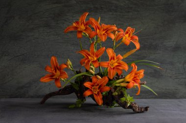 Doğal malzemeler kullanan günlük çiçeklerin bir bileşimi, doğallık tarzı.