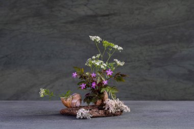 Kökleri, yosunları, yosunları, yosunları, doğal bitkileri kullanarak yabani çiçeklerin narin, tatlı, minyatür bileşimi.