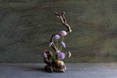 Kökleri, yosunları, yosunları, yosunları, doğal bitkileri kullanarak yabani çiçeklerin narin, tatlı, minyatür bileşimi.