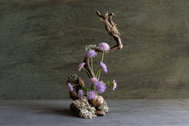 Kökleri, yosunları, yosunları, yosunları, doğal bitkileri kullanarak yabani çiçeklerin narin, tatlı, minyatür bileşimi.