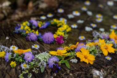 Çınar kabuğu ve deniz kabuğu kullanan kır çiçeklerinin bileşimi. natüralist stil.