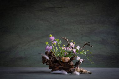 Sycamore kabuğu, salyangoz evi ve kuş tüyü kullanan kır çiçeklerinin bileşimi. natüralist stil.