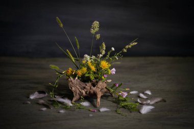 kompozisyon, ikebana, yaz çiçekleri, ağaç kökleri, salyangoz kabuğu, kuş tüyü, çim çivileri.