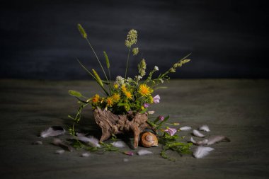kompozisyon, ikebana, yaz çiçekleri, ağaç kökleri, salyangoz kabuğu, kuş tüyü, çim çivileri.