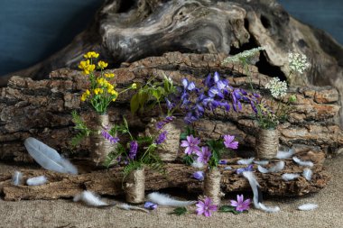 kompozisyon, ikebana, yaz çiçekleri, ağaç kökleri, salyangoz kabuğu, kuş tüyü, çim çivileri.