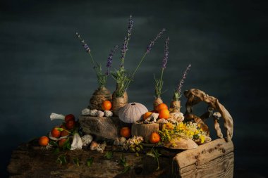 kompozisyon, ikebana, yaz çiçekleri, güverteden arta kalanlar, erikler, lavanta çiçekleri, deniz kabukları, deniz çakıl taşları. deniz.