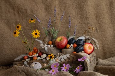 Tasarım, kompozisyon, ikebana, yaz çiçekleri, güvertenin kalıntıları, erikler, erikler, elmalar, lavanta çiçekleri, deniz kabukları, deniz ürünleri.