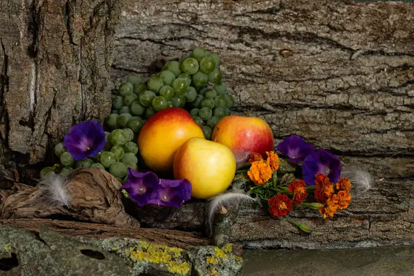 Desen, kompozisyon, ikebana, yaz çiçekleri, elmalar, çiçekler, ağaç kabuğu, kuş tüyleri, üzümler, Ipomoea