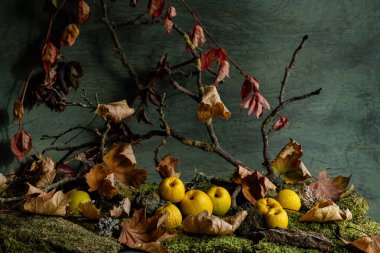 still life with ripe golden persimmons and maple leaves clipart