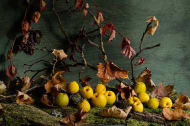 Olgun altın hurmalar ve akçaağaç yapraklarıyla dolu bir hayat