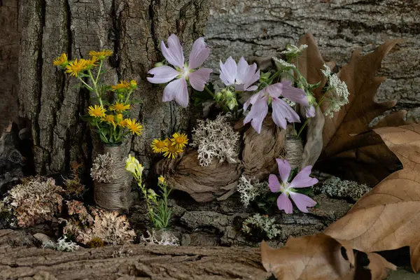 natürmort hayat, tasarım, kompozisyon, kır çiçeklerinin ikebana 'sı, çınar yaprakları, ağaç kabuğu, zambaklar.