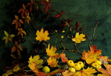 natürmort, bitki tasarımı, çiçek aranjmanı, ikebana, kır çiçekleri, Çin ayva meyveleri, renkli akçaağaç yaprakları, altın ayva meyveleri.