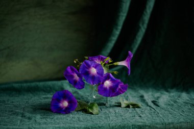 minimalist composition with purple flowers. clipart