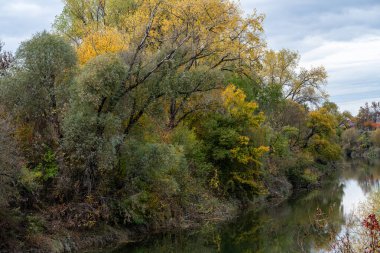Sonbahar manzarası, çok renkli, renkli yapraklar, kırmızı, sarı, altın, yeşil, yeşil çimen, ağaçlar, nehir, park, orman, nehir kıyısı.