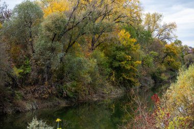 autumn landscape, multi-colored, colored leaves, red, yellow, gold, green, green grass, trees, river, park, forest, river bank. clipart