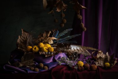 Durgun hayat. Geçmişi. Phyto kompozisyonu. Masaüstü ekran koruyucu. Meyveli bir çınar dalı. - Evet. Mor kumaştan yapılmış kumaş. Çin ayva ezmesinin solmuş meyveleri.