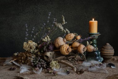 Still life. Background. Phyto composition. Desktop screensaver. Phyto design. Poppy fruits. Poppy heads. Dry flowers. Medicinal plants. Field flowers. clipart