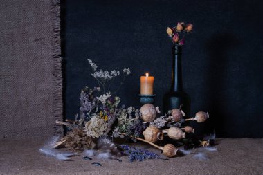 Durgun hayat. Geçmişi. Phyto kompozisyonu. Masaüstü ekran koruyucu. Phyto tasarımı. Haşhaş meyvesi. Afyon kafalar. Kuru çiçekler. İlaç bitkileri. Tarla çiçekleri.