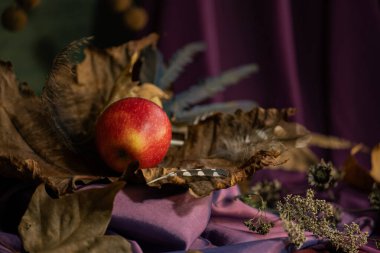 Durgun hayat. Geçmişi. kompozisyon. Masaüstü ekran koruyucu. Meyveli bir çınar dalı tasarla. Kumaş örtüsü. Kurumuş meyveler. Kırmızı elma.