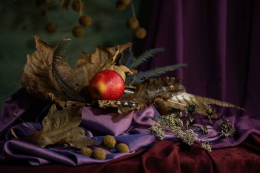 Durgun hayat. Geçmişi. kompozisyon. Masaüstü ekran koruyucu. Meyveli bir çınar dalı tasarla. Kumaş örtüsü. Kurumuş meyveler. Kırmızı elma.