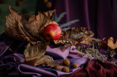 Durgun hayat. Geçmişi. kompozisyon. Masaüstü ekran koruyucu. Meyveli bir çınar dalı tasarla. Kumaş örtüsü. Kurumuş meyveler. Kırmızı elma.