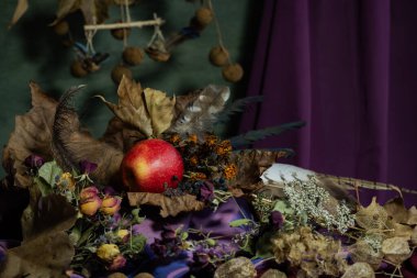 Durgun hayat. Geçmişi. kompozisyon. Masaüstü ekran koruyucu. Meyveli bir çınar dalı tasarla. Kumaş örtüsü. Kurumuş meyveler. Kırmızı elma.