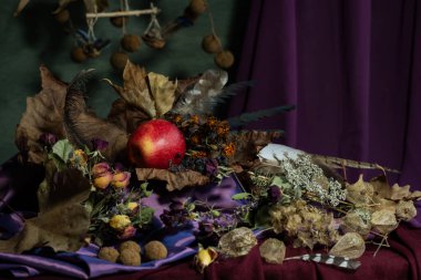 Durgun hayat. Geçmişi. kompozisyon. Masaüstü ekran koruyucu. Meyveli bir çınar dalı tasarla. Kumaş örtüsü. Kurumuş meyveler. Kırmızı elma.